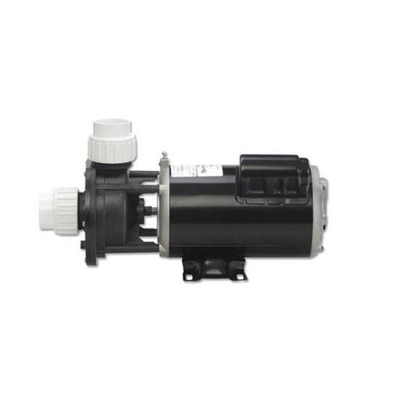 GECKO ALLIANCE Gecko Alliance 061155172040 2 hp Flo-Master XP2 Series Pump; 230V - Dual 61155172040